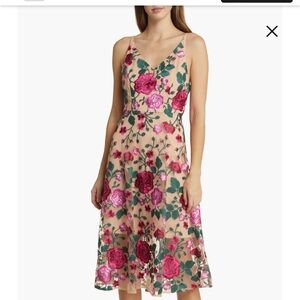 Sam Edelman Rose Embroidery Sleeveless A-Line Dress